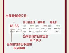 精彩盘口分析揭晓:接下来比赛走势将会如何